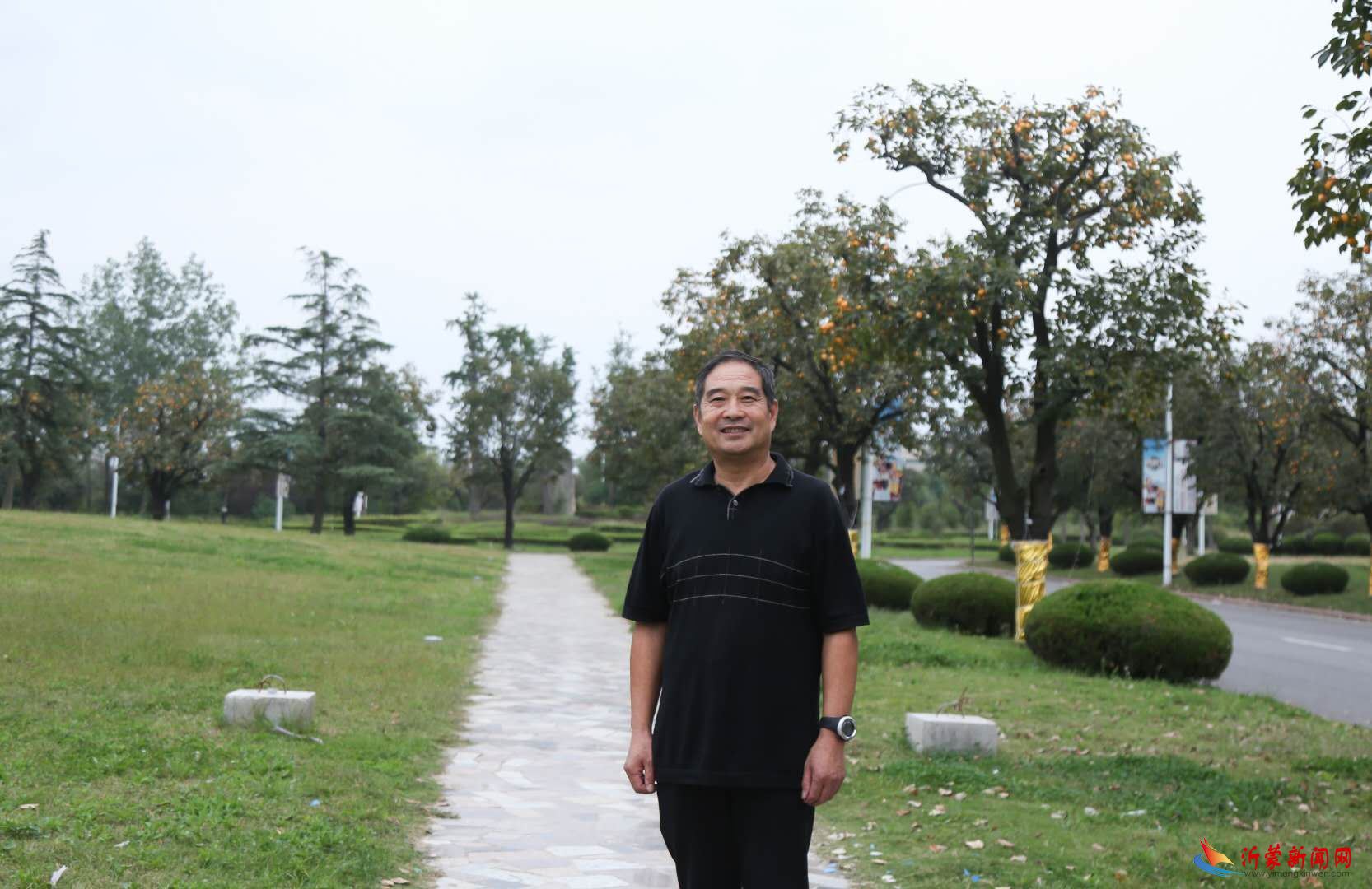 密希引--书法艺术