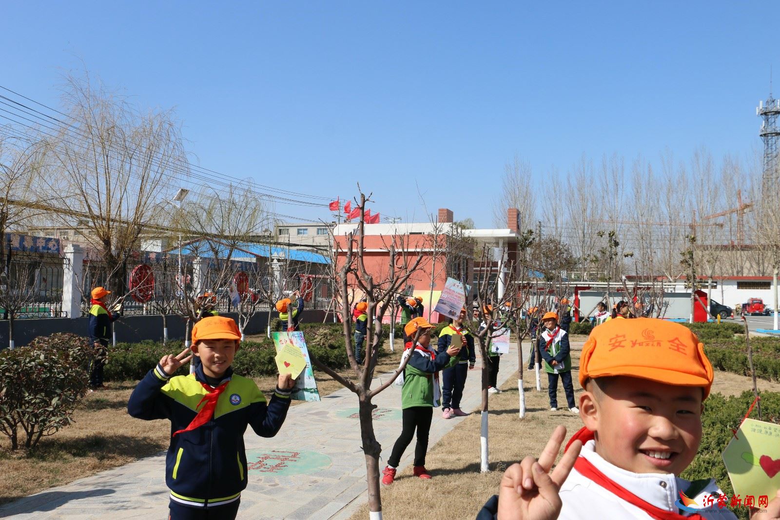 临沂新桥小学开展植树活动