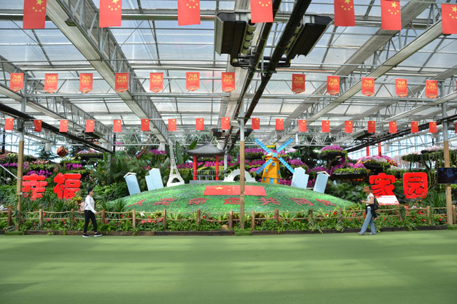 DSC_0097.jpg DSC_0097.jpg