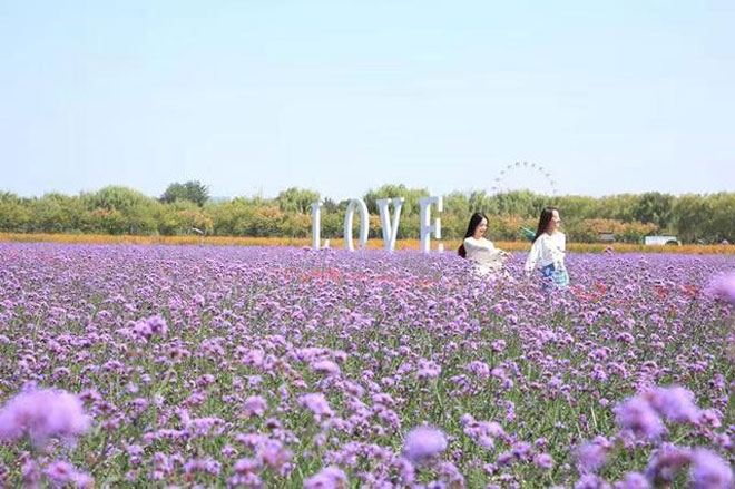 微信图片_20190922193953.jpg 微信图片_20190922193953.jpg