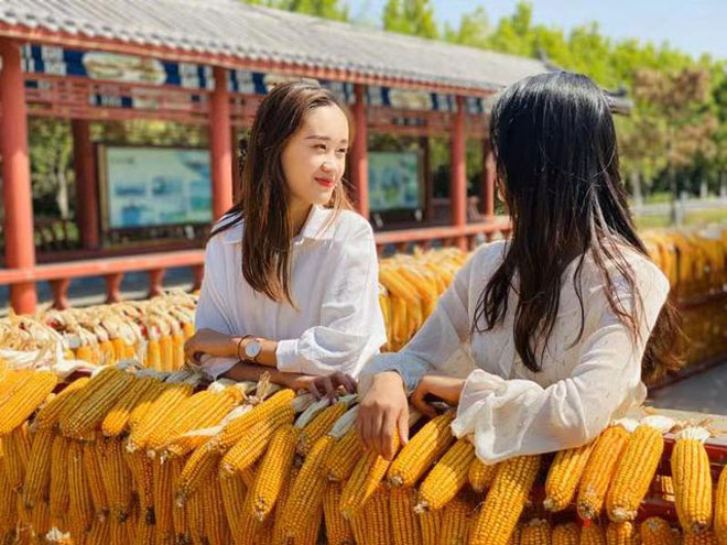 微信图片_20190922193948.jpg 微信图片_20190922193948.jpg