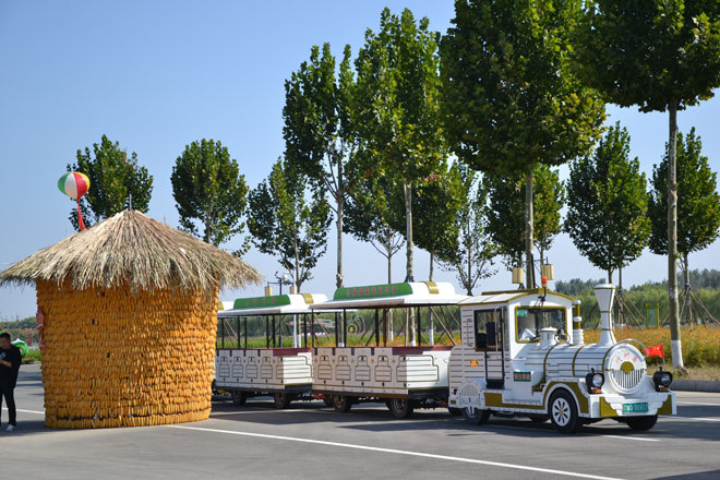 DSC_0041.jpg DSC_0041.jpg