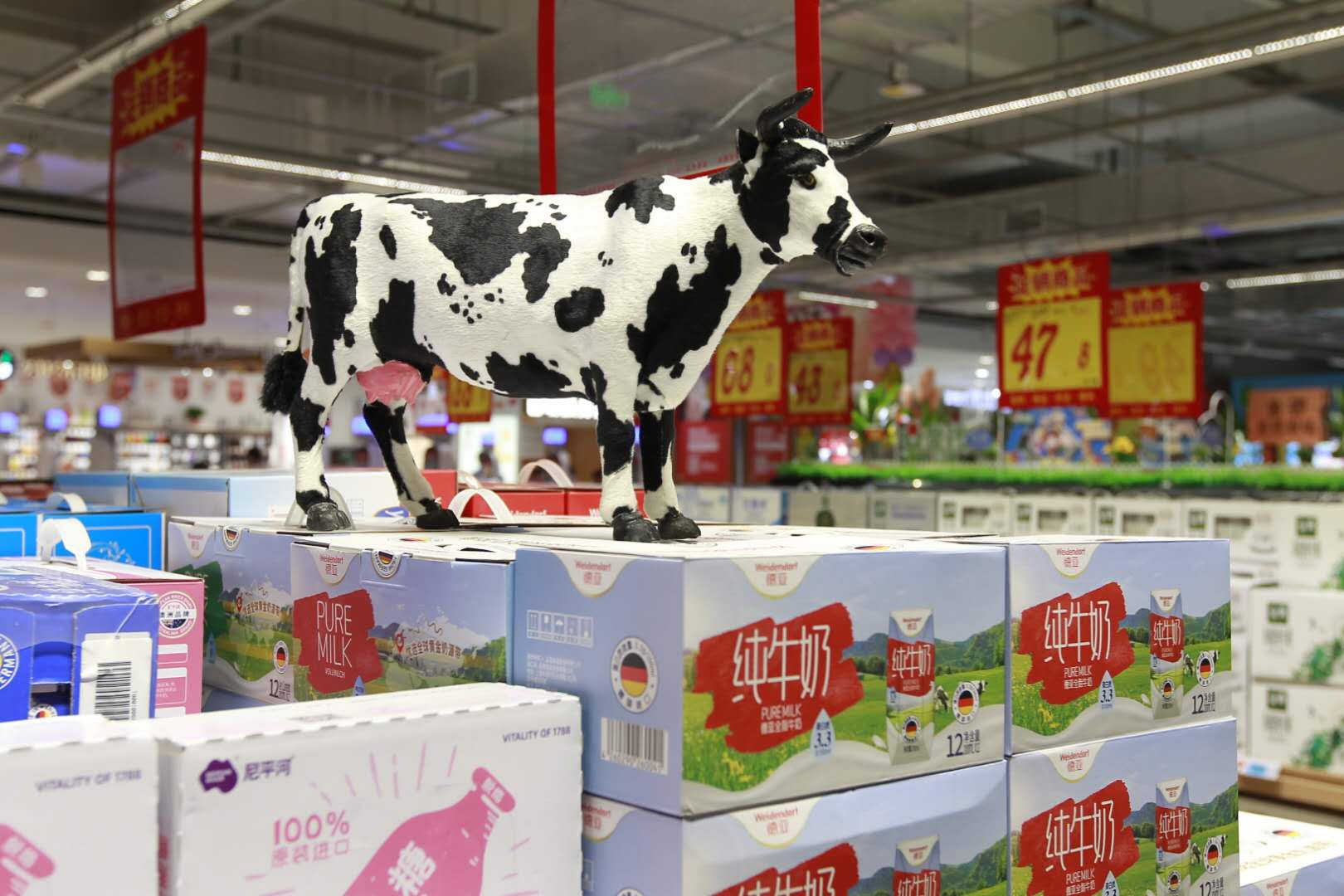 临沂第三家大润发（北城店）26日开业