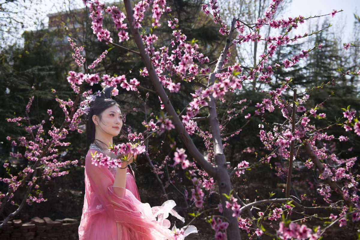 微信图片_20250406103443 (1).jpg