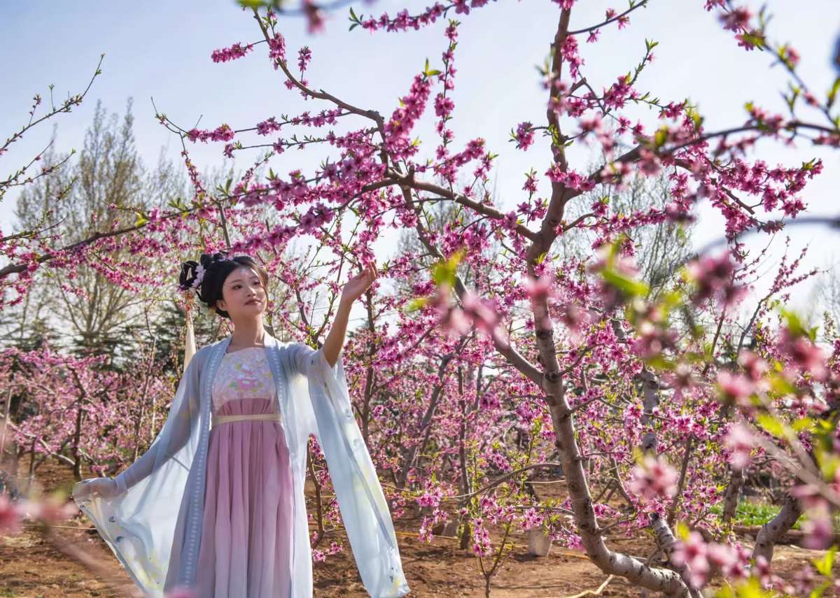 微信图片_20250406101544 (1).jpg