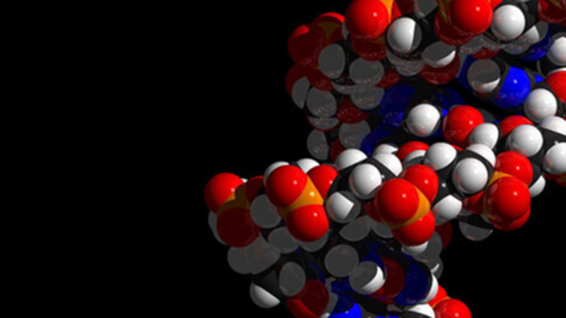 凤凰探索条码注册