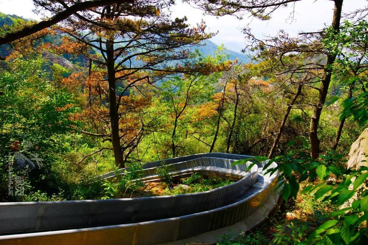 蒙山天蒙景区 第 9 张 蒙山天蒙景区 第 9 张