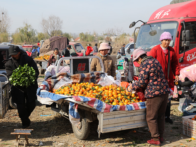 汤头大集 | 闪耀沂蒙大地不一样的“烟火人间” 第 10 张 汤头大集 | 闪耀沂蒙大地不一样的“烟火人间” 第 10 张